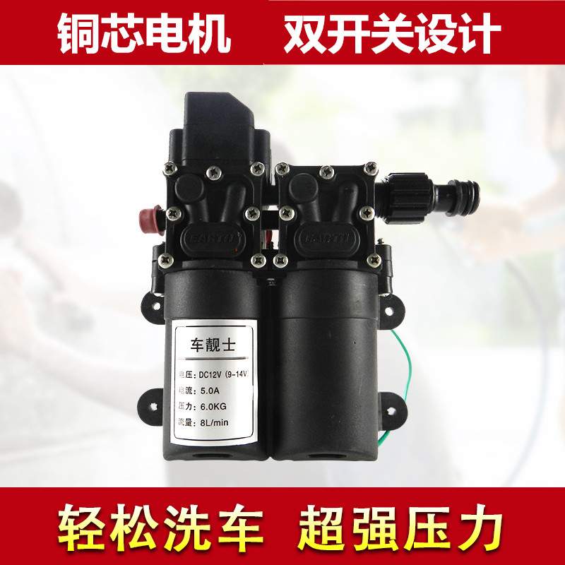 12v洗车水泵 小型车载洗车机220v高压水枪家用便携式洗车器刷车枪