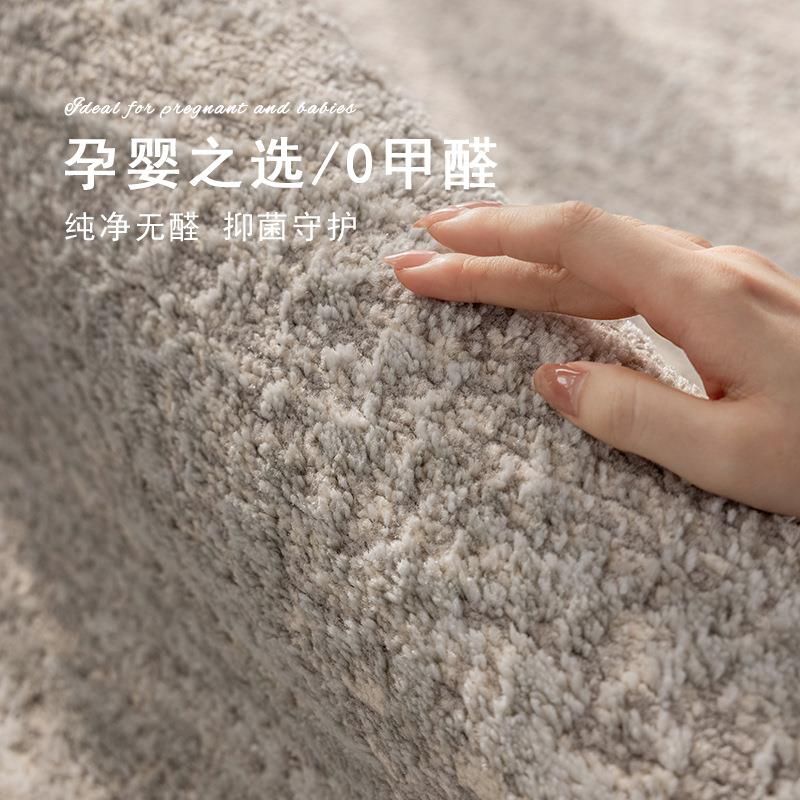 新款轻奢客厅无胶地毯极简高级感沙发茶几卧室毯家用抑菌环保