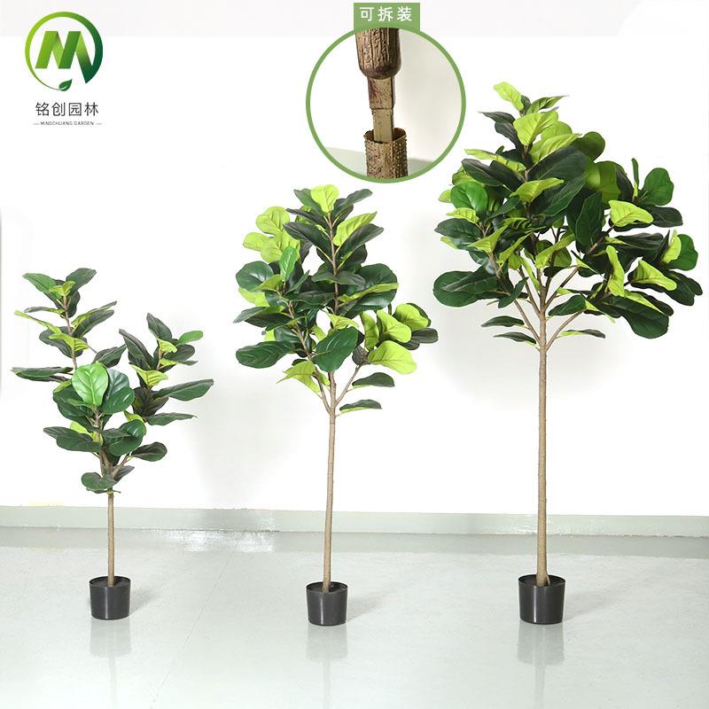 室内客厅大叶大型假植物仿真绿植带盆琴叶榕拆装分段琴叶榕