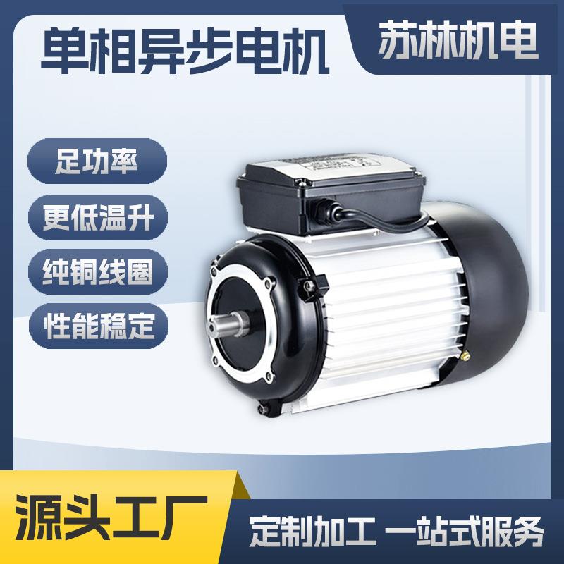 XD020真空泵专用电机900W双电容单相电机立式电机YL8032