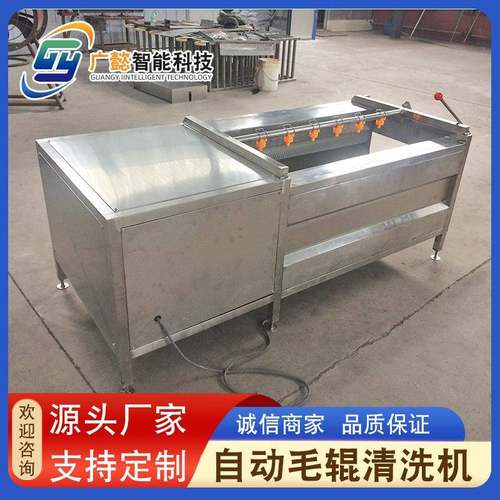 海产品海虹毛辊清洗机柑橘清洗抛光打蜡机扇贝平行毛辊清洗机