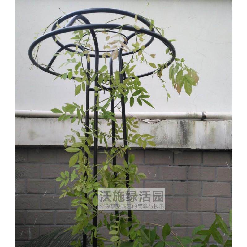 新品蘑菇爬藤架园艺花架庭院花园伞型攀爬月季花架铁线莲铁艺