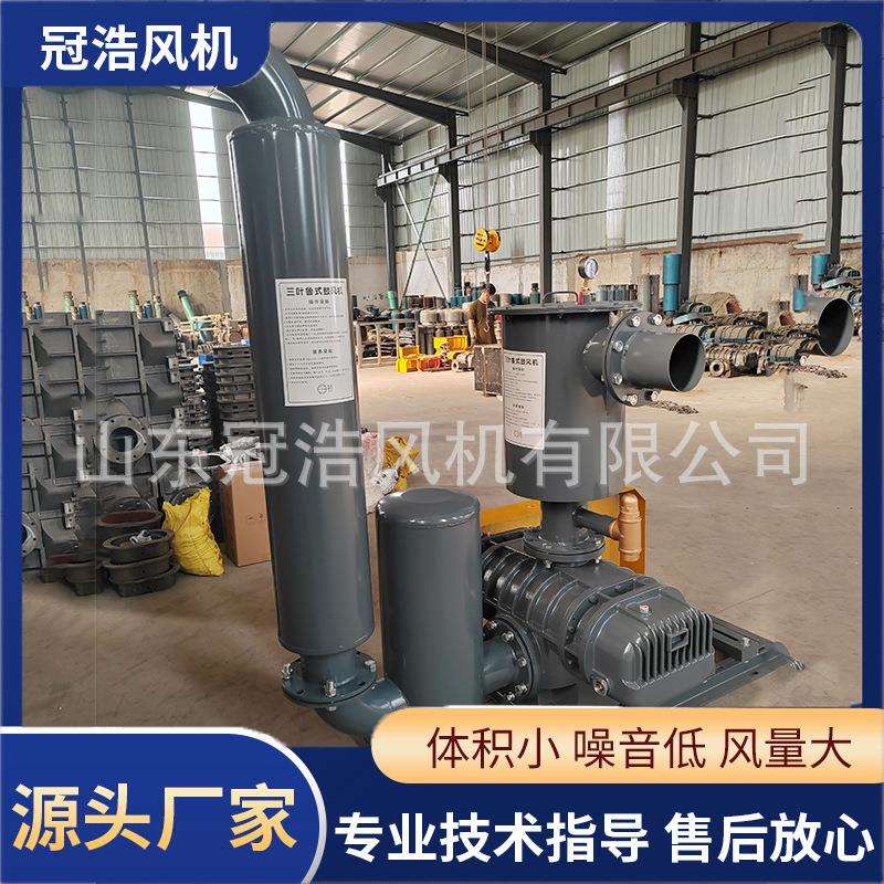 鲁式罗茨风机负压吸水低噪音龙铁罗茨风机造纸厂用纸巾用负压风机