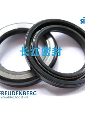 高压骨架油封 CFW BAKHDSN 28.56-42-5.5 德国超高压骨架油封