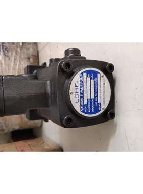 LSHE油泵 LSVPDF-2012-A1-12 立盛LISHENG双联泵 VPV1-20-20 叶片