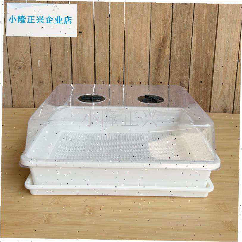 色加厚多肉育苗盆l带盖子叶插播种器育苗盘园艺托盘闷养花盆收纳-