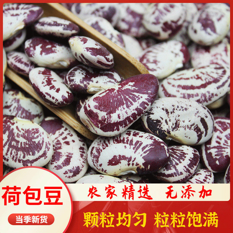 新货云南农家大荷包豆 皇帝豆肾豆非花非斑马豆 五谷杂粮500G包邮