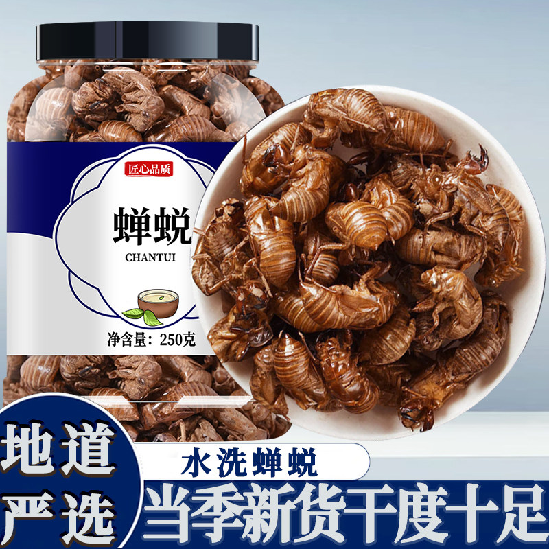 中药材蝉蜕知了皮100g蝉衣蝉壳虫包邮蜕虫退爬了猴壳金蝉衣