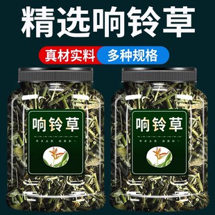 云南野生响铃草500g克官方旗舰店正品铃铃草野花生马铃草马响铃