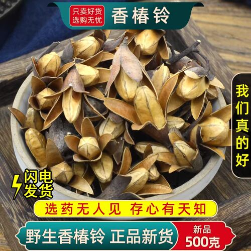 香椿铃中药材500克 香椿子香椿籽香铃子正品香椿树铃子