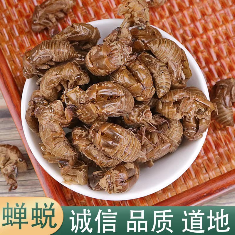 中药材蝉蜕知了皮100g蝉衣蝉壳虫包邮蜕虫退爬了猴壳金蝉衣