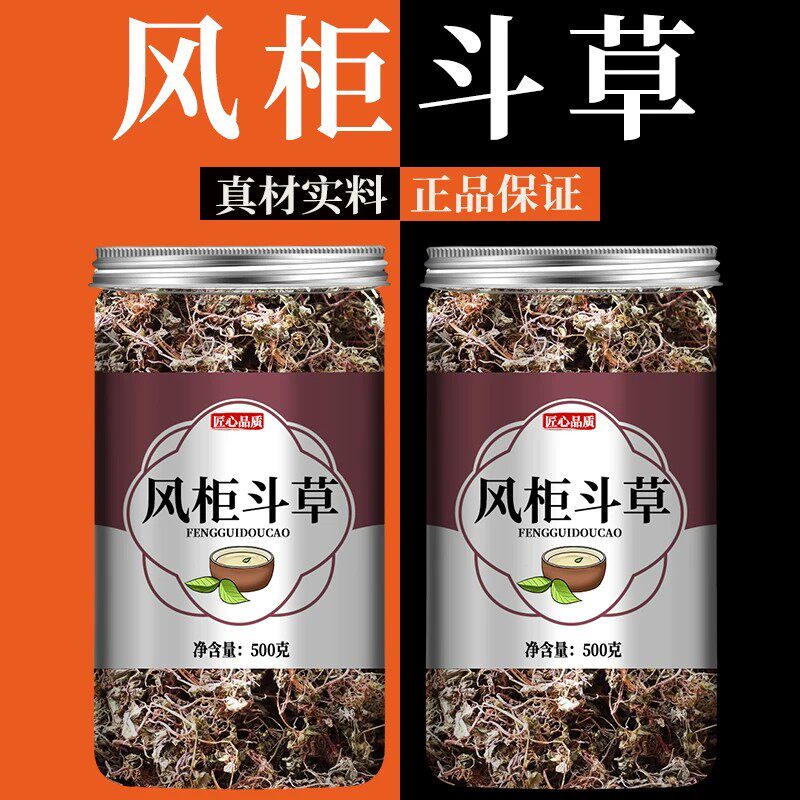 风柜斗草野生正品中药材楮头红风谷草风骨草红杆风鼓草新鲜泡水喝