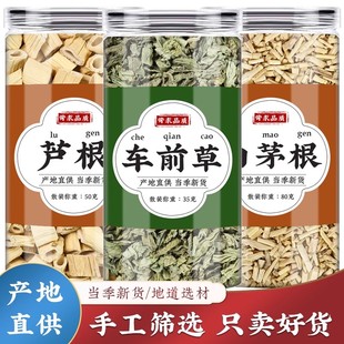 芦根白茅根车前草组合茶包中药材正品车钱草白毛根矛新鲜泡水和加