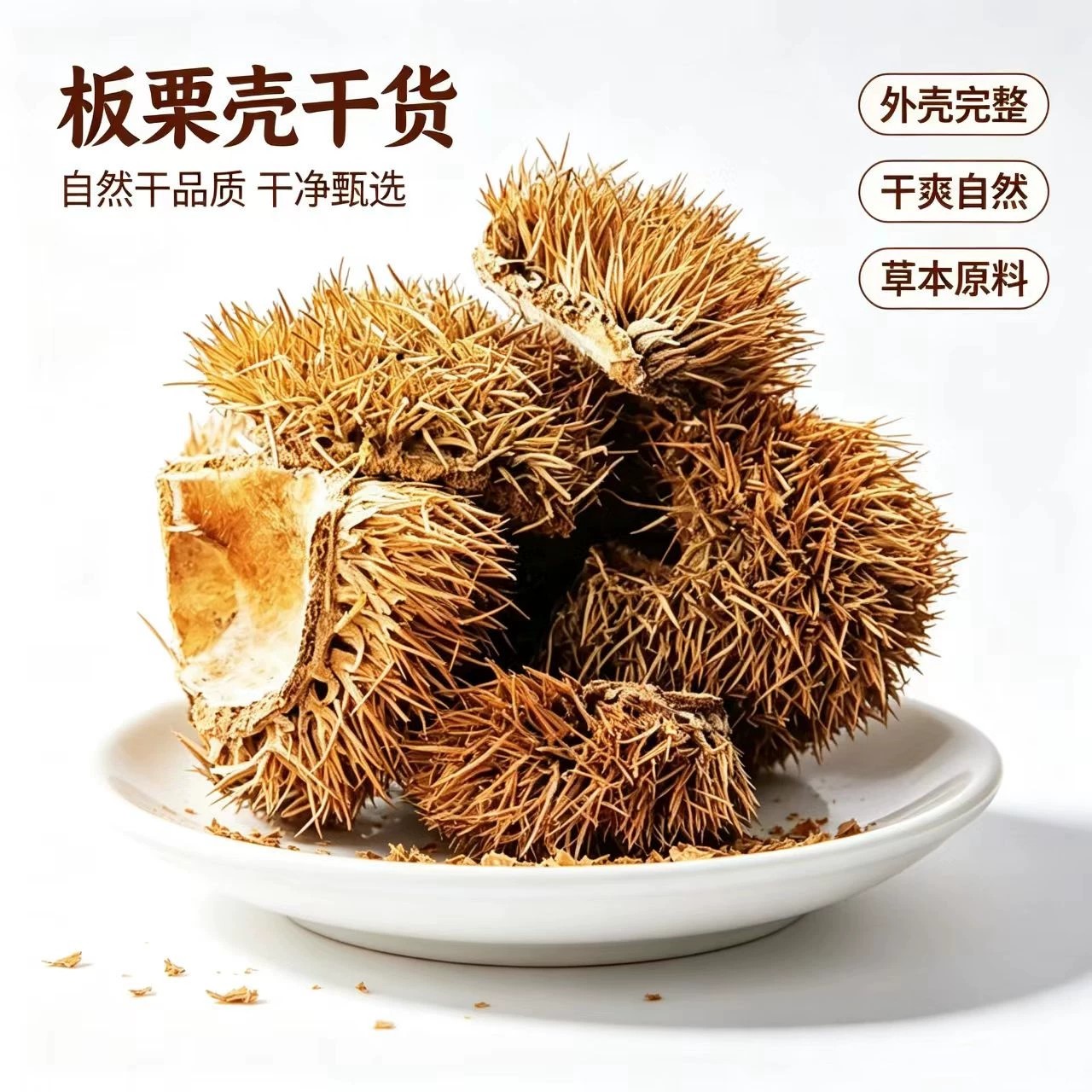 板栗壳中药材1000g野生板栗刺壳球栗风栗壳刺粟子刺壳栗子壳中药