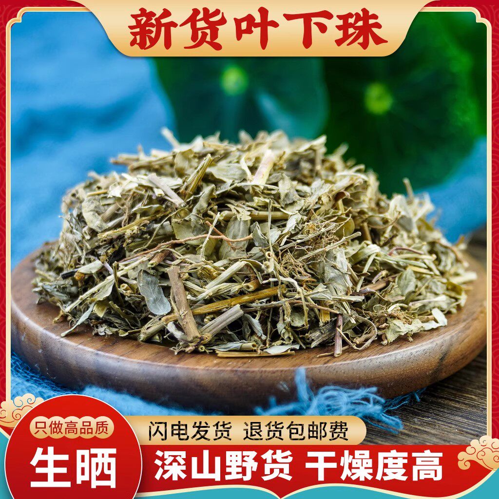 叶下珠中药材500g克野生叶下珠茶珍珠草龙珠草鱼鳞草夜合草中草药