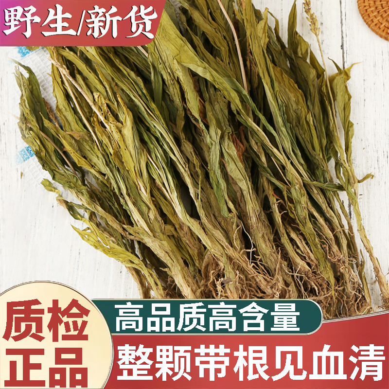 正品天然野生见血清新货中药材500g正宗新鲜干货整颗见血清羊耳蒜