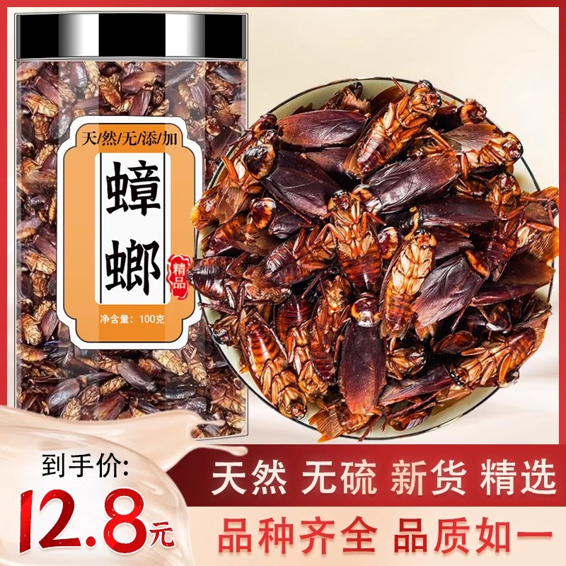 蟑螂中药材蟑螂干野生药用小强偷油婆蟑螂虫干正宗茶婆虫滑虫蟑螂