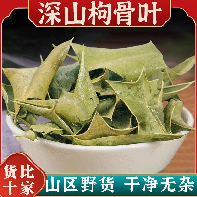 枸骨叶中药材500克功劳叶狗枸骨刺八角刺猫儿刺八角刺羊角刺树叶