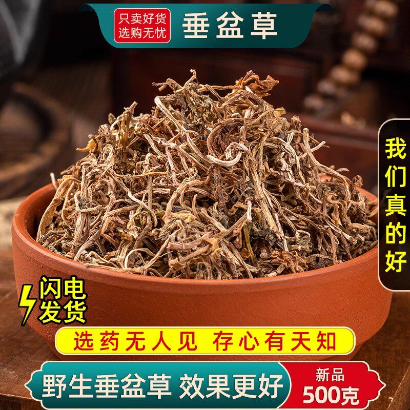 垂盆草中药材500克/250/100g垂盆草干货吊草野生垂盆草正宗垂盆草