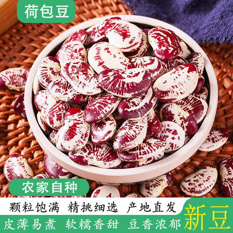 新货云南农家大荷包豆 皇帝豆肾豆非花非斑马豆 五谷杂粮500G包邮