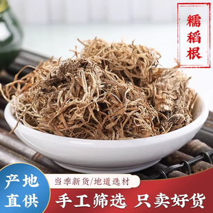 糯稻根中药材500g克正品糯米根新鲜干货纯根浮小麦糯谷根须草根