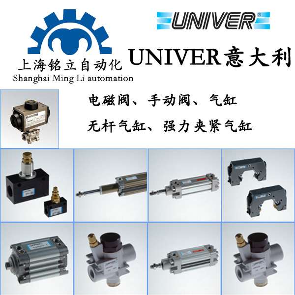 Univer无杆气缸S1全系列 S1004160260M 意大利原装