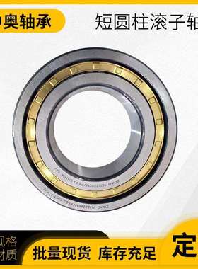 电机专用 现货 高转速低噪音NU224/226EM/ECML二类轴承