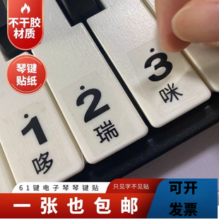 电子琴61键贴纸大字版初学简谱音符贴初学自学透明按键音标贴专用