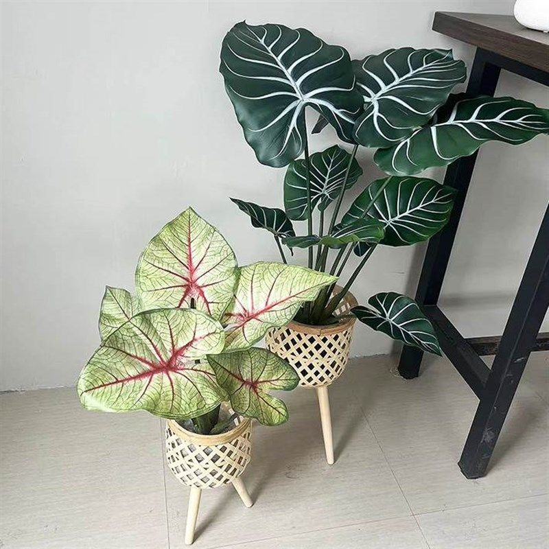 极速北欧ins风l客厅绿植竹编装饰花架竹藤编花盆阳台花架编织篮子,家居饰品,落地摆件,淘宝优惠券,粉丝福利购,淘宝优惠卷