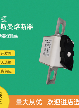 极速全新快速熔断器保险170M5714 170M5715 J170M5716 170M5717