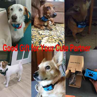 极速Pet Dog Anti Barking Device USB Electric UltrTasonic Dog