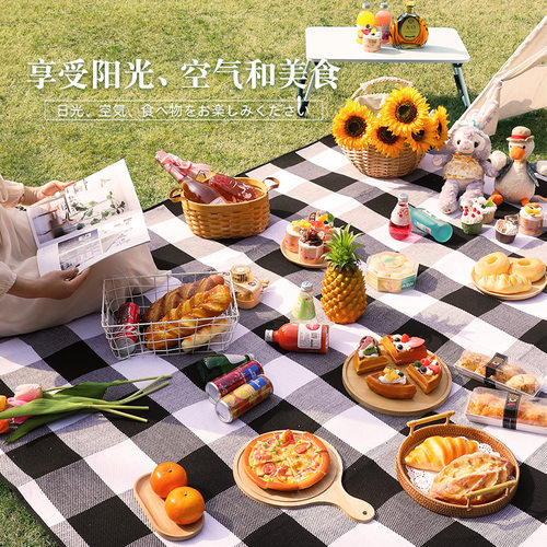 极速野餐垫d防潮垫加厚便携户外地垫野外露营帐篷防水春游野餐布