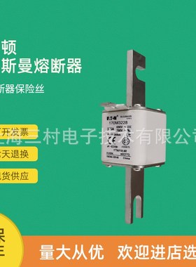 全新原装快速熔断器保险丝170M3566w 170M3567 170M3568 170M3569