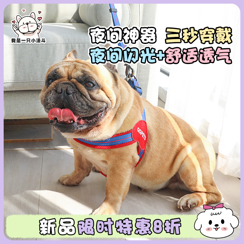 新款转印狗狗项圈牵引绳套装夜间LED发光法斗金毛宠物胸背脖圈