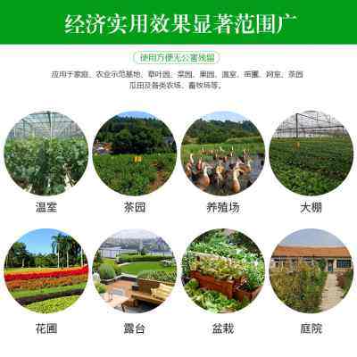 黄板粘虫黑双面黏虫板黄蓝诱虫板双面胶小板飞茶园包卉花邮