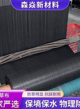 黑色抗pp防编草园布园艺大棚整卷晒防草布农用果打孔VGO制透水防