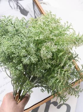 N蒿草香草植物墙IS风真花厂家居装饰跨境婚庆假花YC1076仿YC1家07