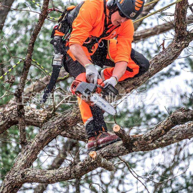 瑞典富世华单手油锯胡斯华纳T525小油锯轻型修枝链锯,农机/农具/农膜,播种栽苗器/地膜机,淘宝优惠券,粉丝福利购,淘宝优惠卷