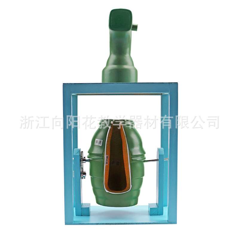 厂家直销3240生物教学模型炼钢转炉教学模型