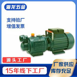 单相自吸 螺杆泵高扬程 深吸自来水管道 增压泵高压抽水机