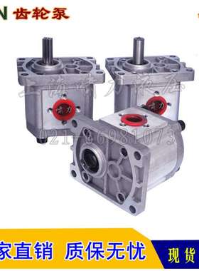 CBN-E306CLPR  CBN-E310/304/316CLPL 平左 平右齿轮泵 螺纹油口