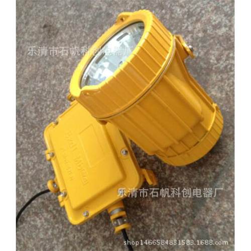 BTC8200防爆投光灯 西塔照明