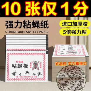 苍蝇贴强力粘蝇纸粘蝇板蚊子一扫光家用灭蝇子捕捉器克星飞虫果蝇