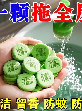 高浓缩拖地花露水泡腾片地板清洗
