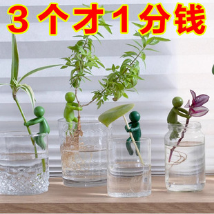 懶人好養(yǎng)綠植盆景 水培植物造型水培盆栽客廳書房桌面辦公室內(nèi)四季