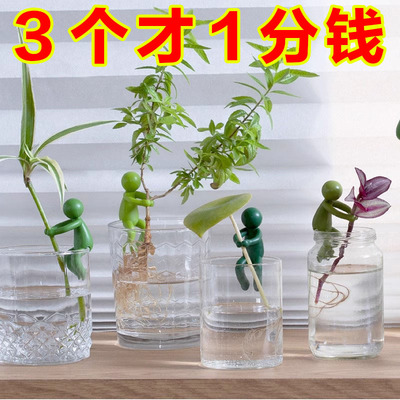 懒人随机色【3个】水培伴侣桌面