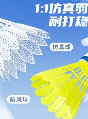 羽毛球比赛耐打防风不易学耐打飞球不易训练学生室外娱乐球仿真球