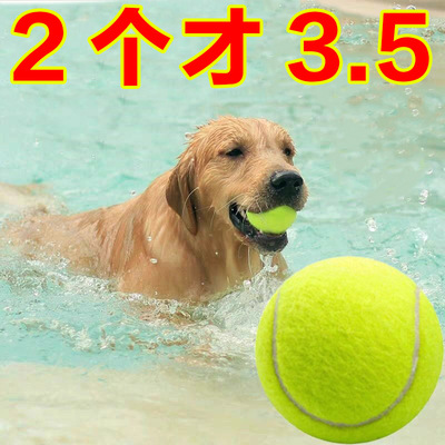 狗狗玩具球自嗨解闷神器