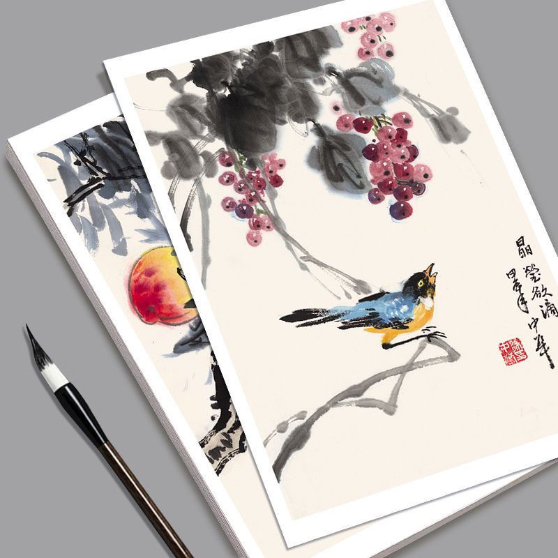 国画原创临摹卡传统国画花鸟蔬果写意绘画入门培训高清印刷32幅