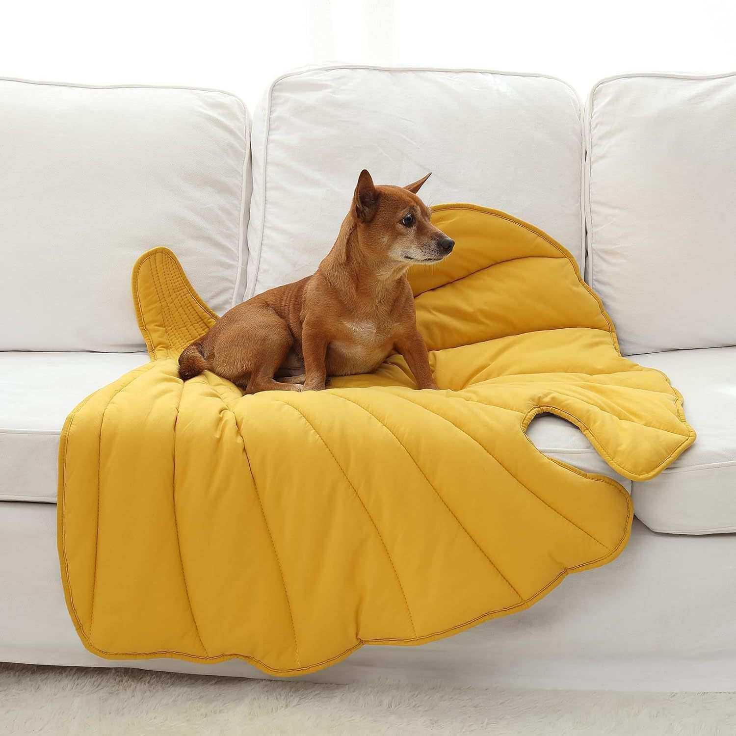 工厂定制银杏树叶造型狗垫四季通用宠物爬爬垫夏季凉垫跨境亚马逊